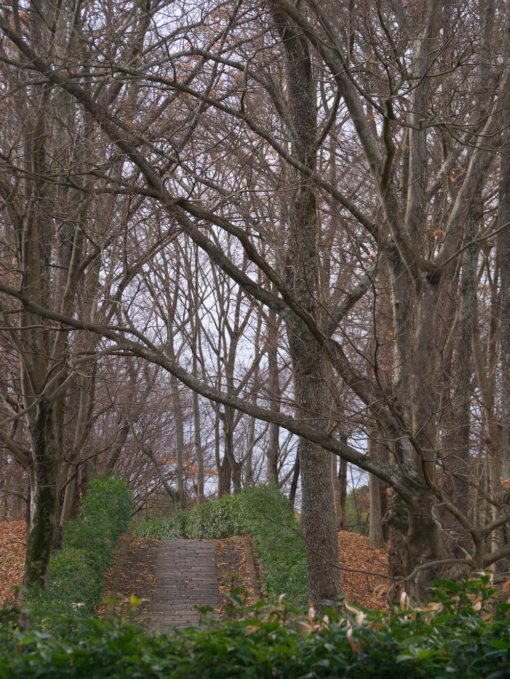 　高松塚周辺地区の寸景_b0161171_15492313.jpg