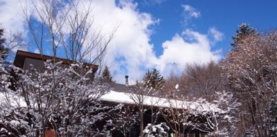 雪が降りました_d0133485_21454999.jpg