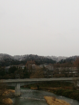 a0129586_1112176.jpg