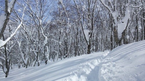 150214関温泉スキー場(26回目)_e0015490_211758.jpg