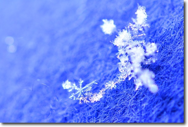 雪の結晶　～その３～　ラストチャンス_d0264892_057696.jpg