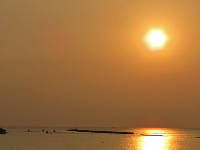 c0049299_2333667.jpg