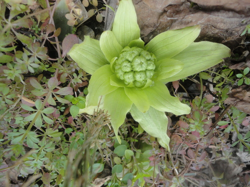 f0231709_1274014.jpg