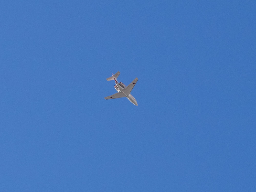 d0192516_17362012.jpg