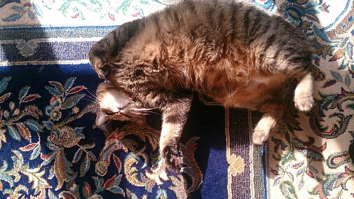 f0220919_10462990.jpg