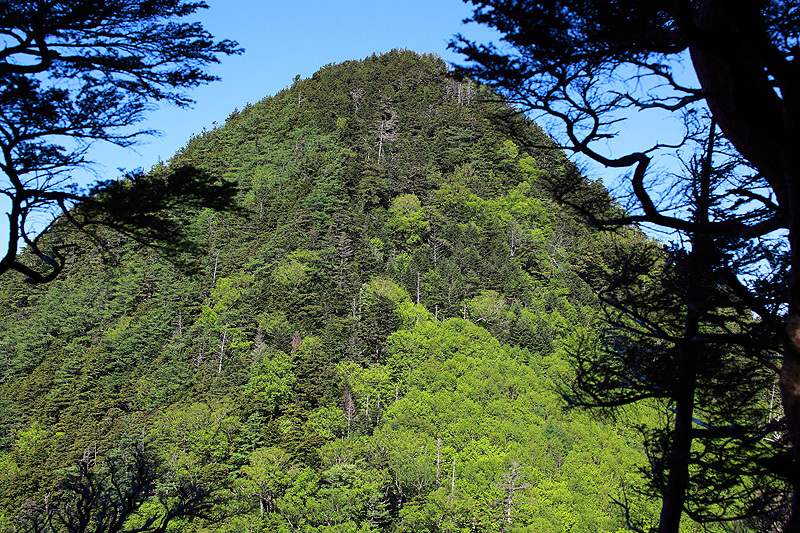 c0313231_17145433.jpg