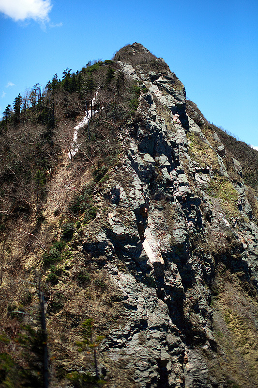 c0313231_17323341.jpg