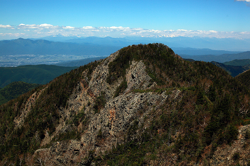 c0313231_17334477.jpg