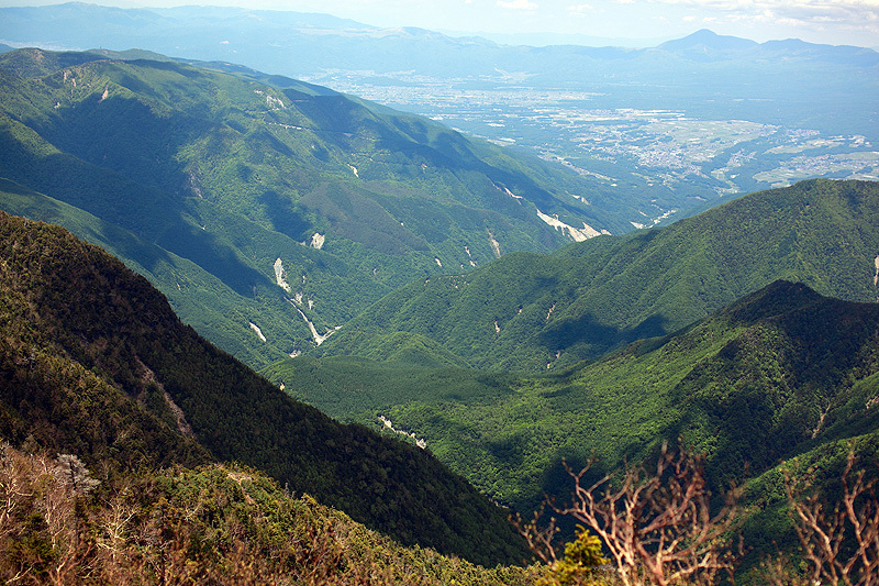 c0313231_17562500.jpg