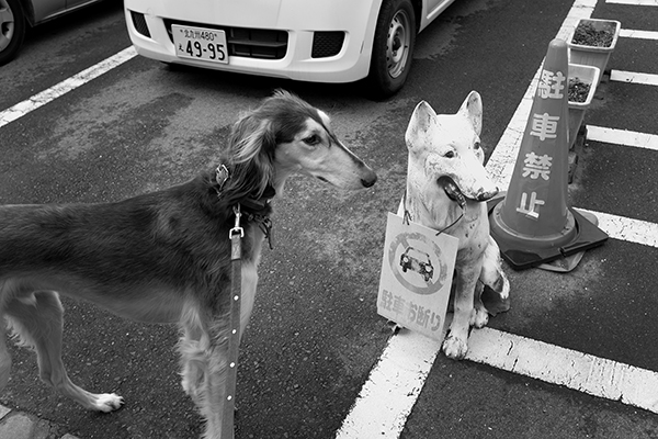 初めての町で_c0275332_2372112.jpg