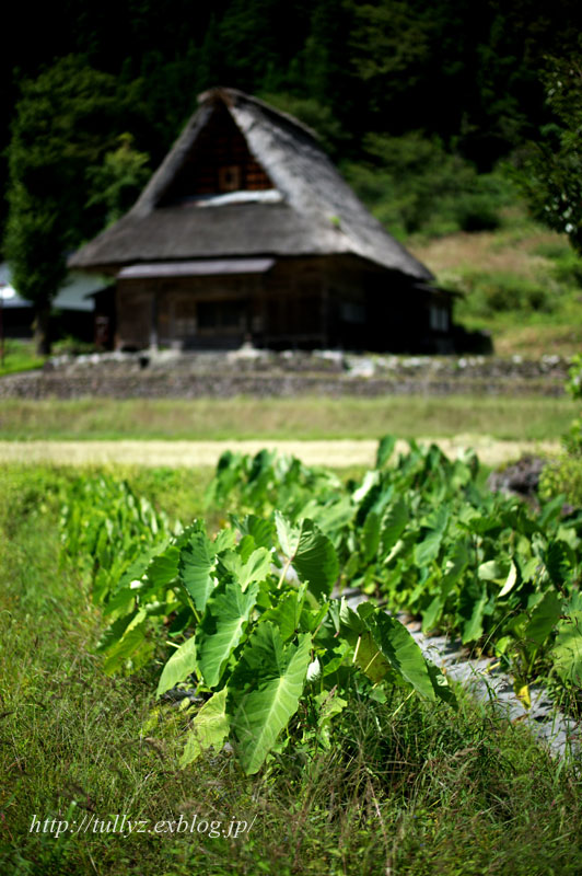 d0108132_2110367.jpg