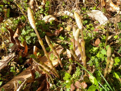 e0272335_20111879.jpg