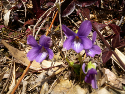 e0272335_20175936.jpg