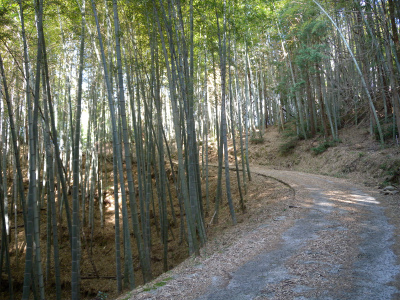 e0272335_20255532.jpg