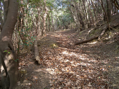 e0272335_20481013.jpg