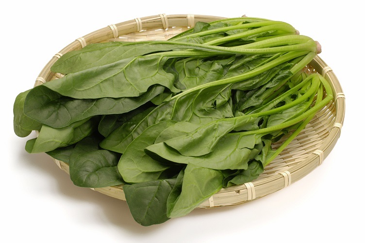 野菜まめ知識 ほうれん草 富士のふもとの農業日誌 野菜まめ知識 ほうれん草 富士のふもとの農業日誌