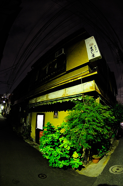 b0283455_2033251.jpg