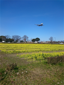 c0345259_13383611.png