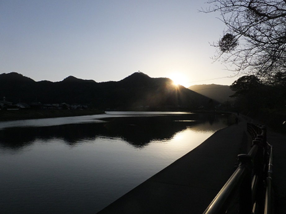 河川公園入り口の早咲きのかんぴさくらと、ウオーキング_f0113862_1911226.jpg