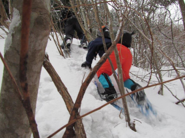 2015.2.19　烏帽子山1670ｍ（北尾根～北東尾根周回）_c0219866_10382893.jpg