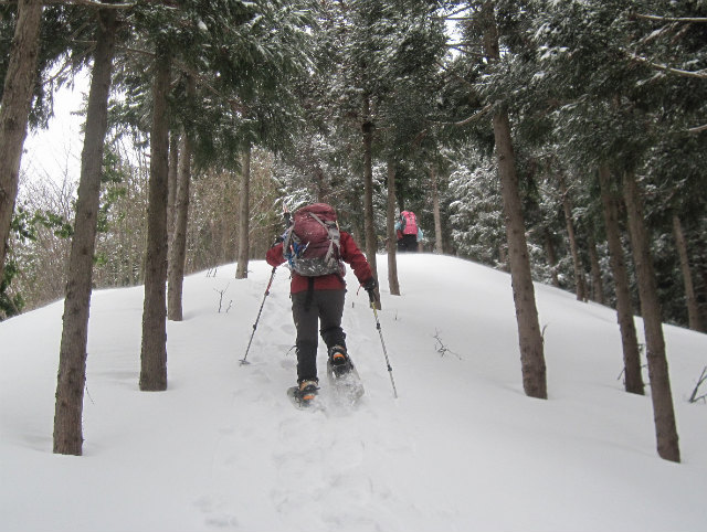 2015.2.19　烏帽子山1670ｍ（北尾根～北東尾根周回）_c0219866_10403191.jpg