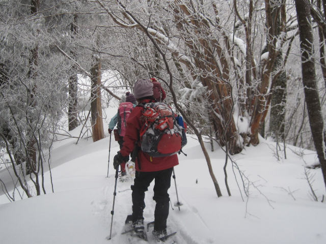 2015.2.19　烏帽子山1670ｍ（北尾根～北東尾根周回）_c0219866_1045151.jpg