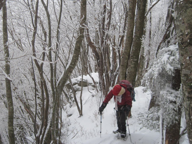 2015.2.19　烏帽子山1670ｍ（北尾根～北東尾根周回）_c0219866_10452493.jpg