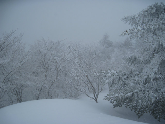 2015.2.19　烏帽子山1670ｍ（北尾根～北東尾根周回）_c0219866_10502590.jpg