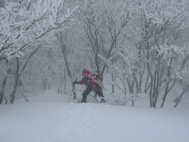 2015.2.19　烏帽子山1670ｍ（北尾根～北東尾根周回）_c0219866_10505277.jpg