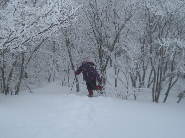 2015.2.19　烏帽子山1670ｍ（北尾根～北東尾根周回）_c0219866_10511596.jpg