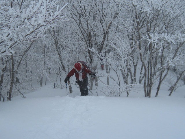 2015.2.19　烏帽子山1670ｍ（北尾根～北東尾根周回）_c0219866_105139.jpg