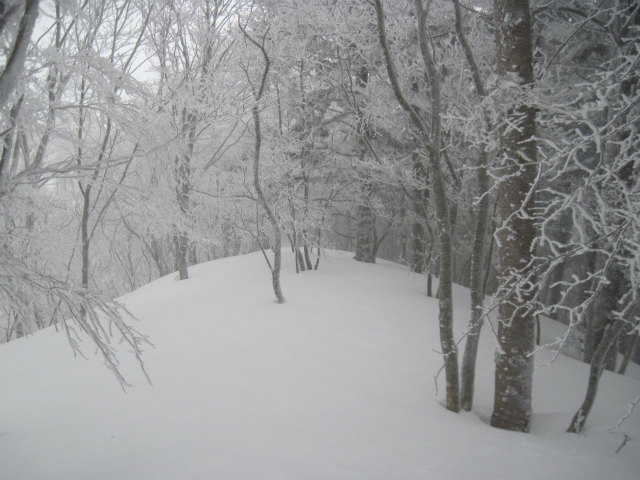 2015.2.19　烏帽子山1670ｍ（北尾根～北東尾根周回）_c0219866_1055512.jpg