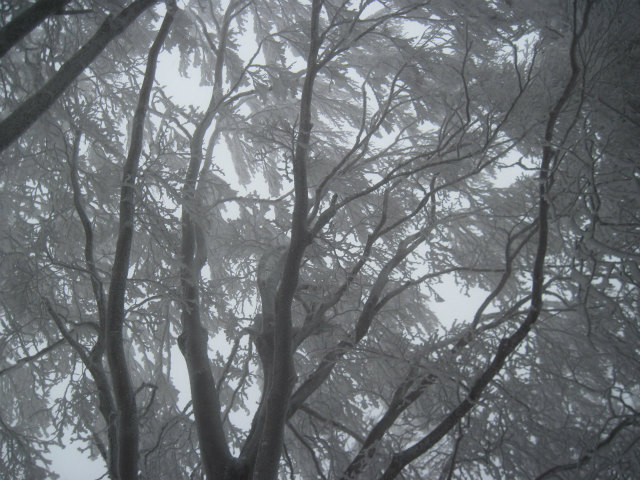 c0219866_10563545.jpg