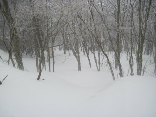 2015.2.19　烏帽子山1670ｍ（北尾根～北東尾根周回）_c0219866_10571190.jpg