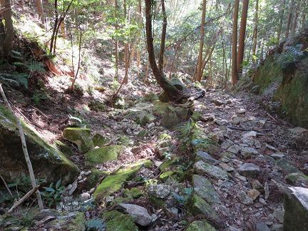 上﨟（じょうろう）岩岩峰群　　愛知県民の森より_f0302771_11253380.jpg