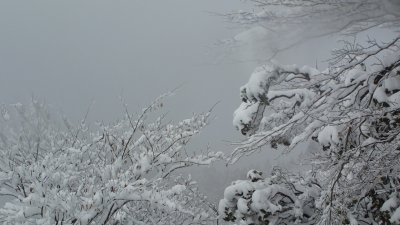 霧氷だって見たいよー♪_e0024081_19495934.jpg