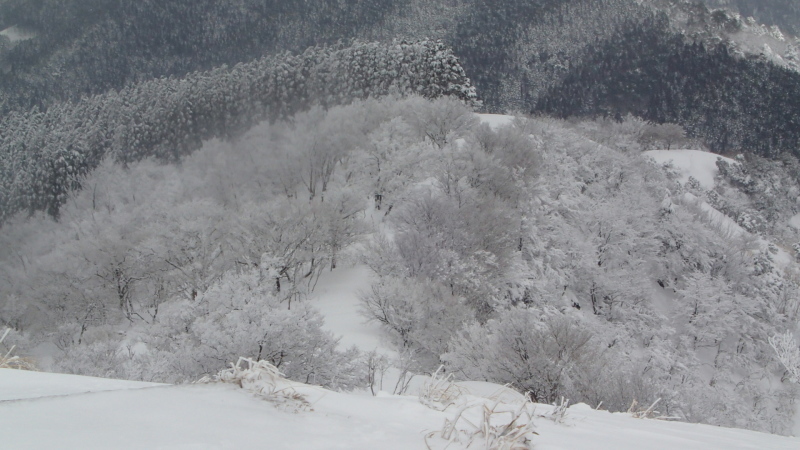 霧氷だって見たいよー♪_e0024081_19562090.jpg