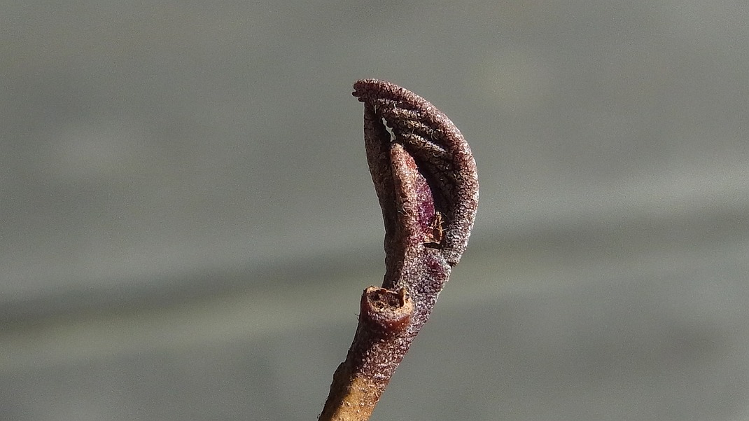 f0346184_17393839.jpg