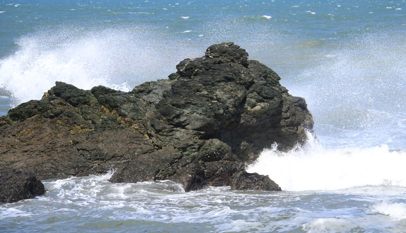 c0177785_15551060.jpg