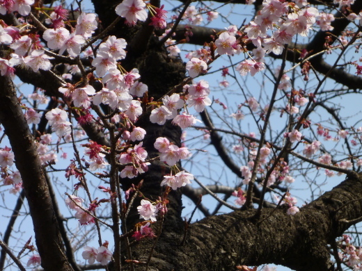 b0335286_21550392.jpg
