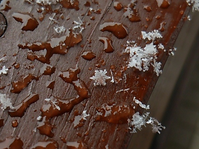  SNOW　CRYSTAL _b0219993_9371658.jpg