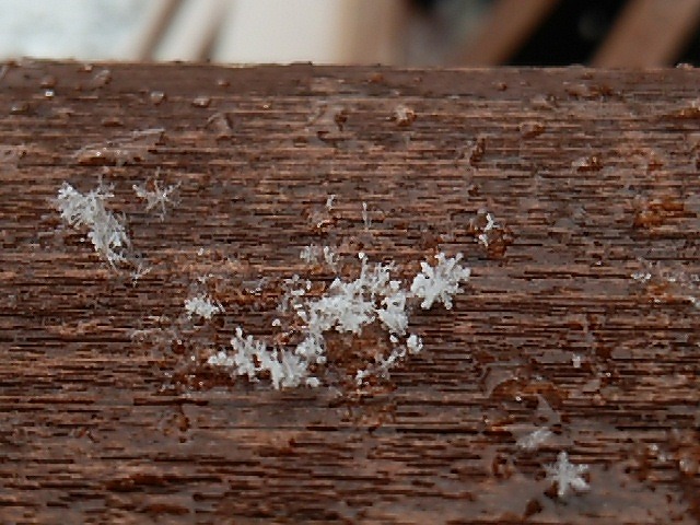  SNOW　CRYSTAL _b0219993_9372676.jpg