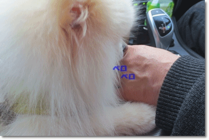 b0167519_1121033.gif