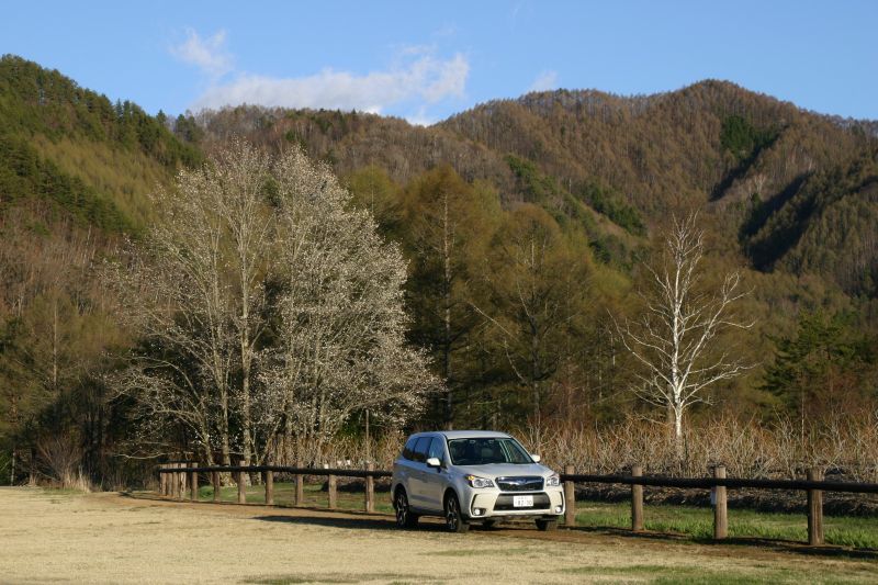 BRZで春の気配を楽しむ_f0076731_10443407.jpg