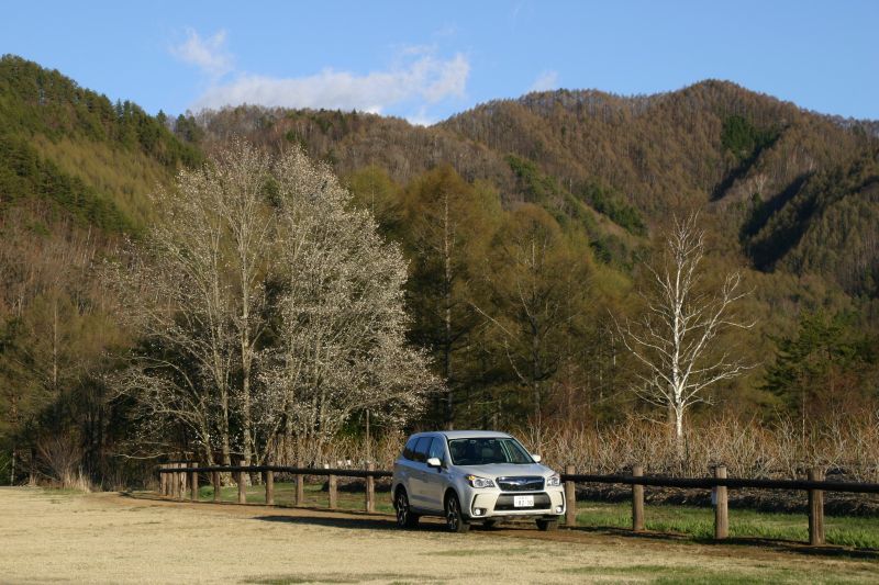 ＢＲＺで春の気配を楽しむ_f0076731_10443407.jpg