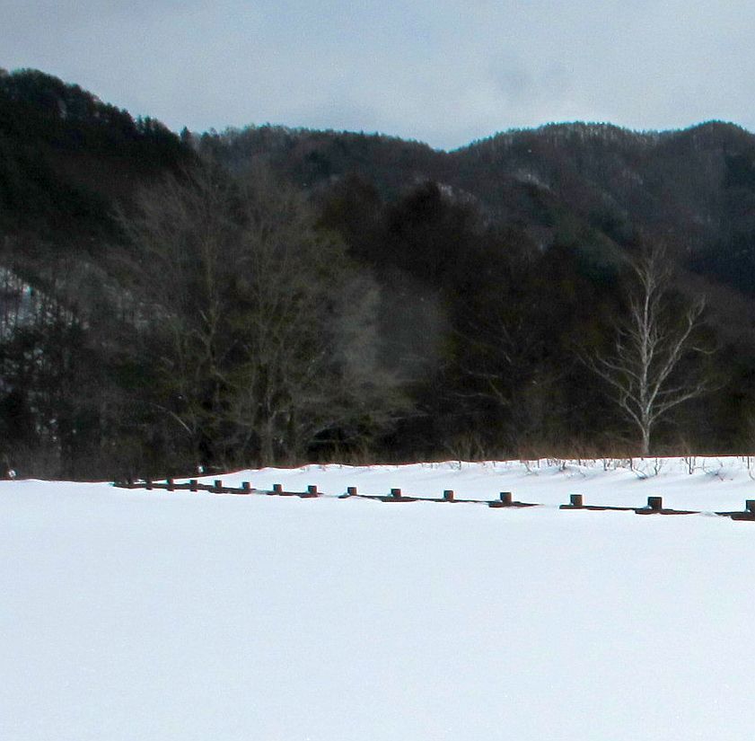 ＢＲＺで春の気配を楽しむ_f0076731_20111626.jpg