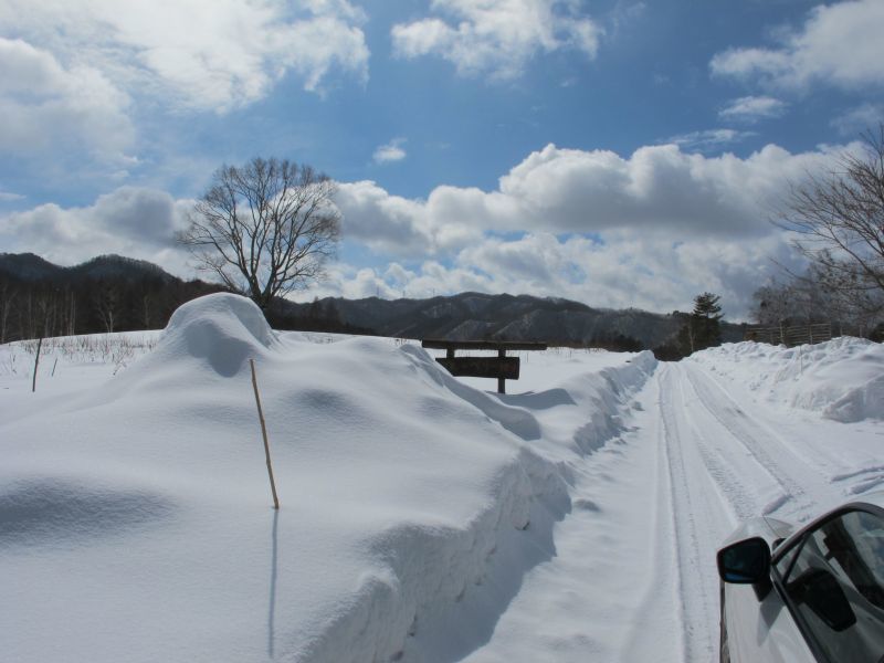 BRZで春の気配を楽しむ_f0076731_22103942.jpg