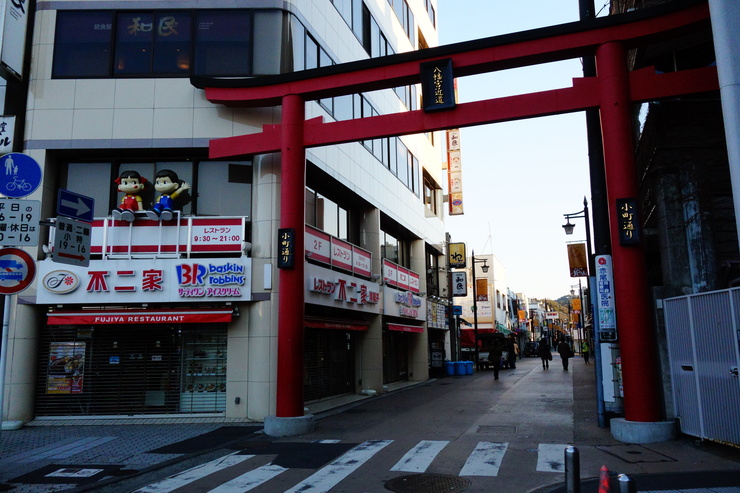ZELKOVA(ゼルコバ) 神奈川県鎌倉市/カフェ~鎌倉2015 その1_a0287336_14371581.jpg