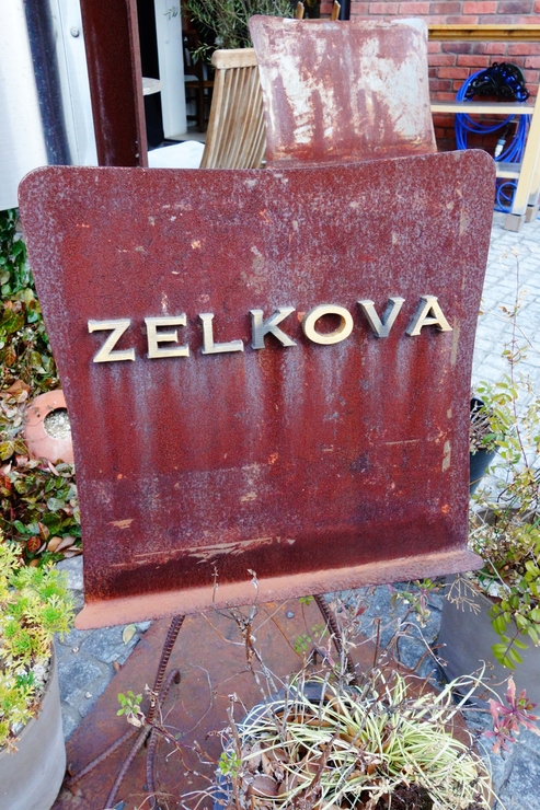 ZELKOVA(ゼルコバ) 神奈川県鎌倉市/カフェ~鎌倉2015 その1_a0287336_15505527.jpg