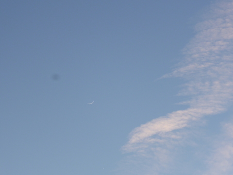 b0238249_17563356.jpg